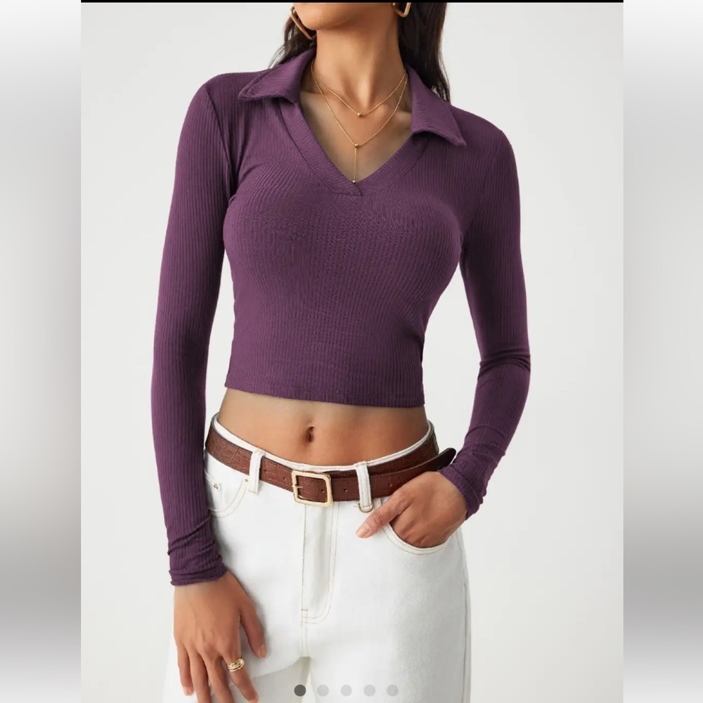 Women's Babaton Plum Ribbed Long Sleeve Collared Crop Top Size L